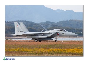 reportjapan2014_1-12