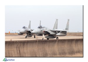 reportjapan2014_1-14