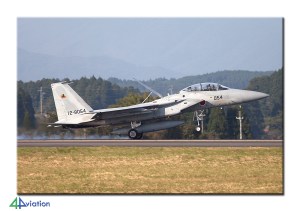 reportjapan2014_1-24