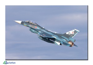 reportjapan2014_1-29